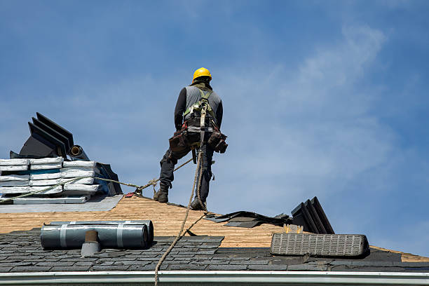 Professional Roof Replacement technician working in Dent, MN